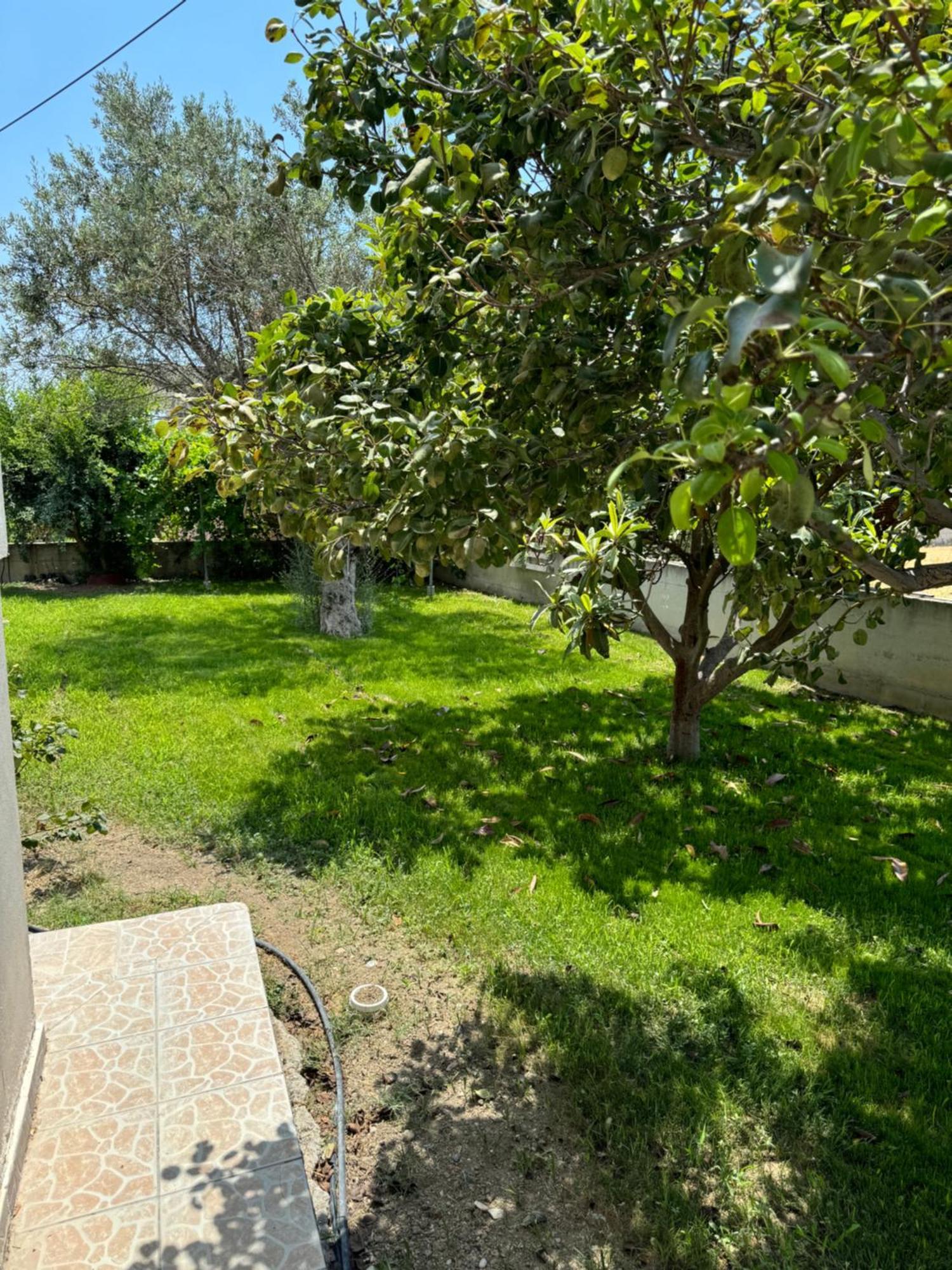 Fotis House 2 Διαμέρισμα Αφάντου Εξωτερικό φωτογραφία