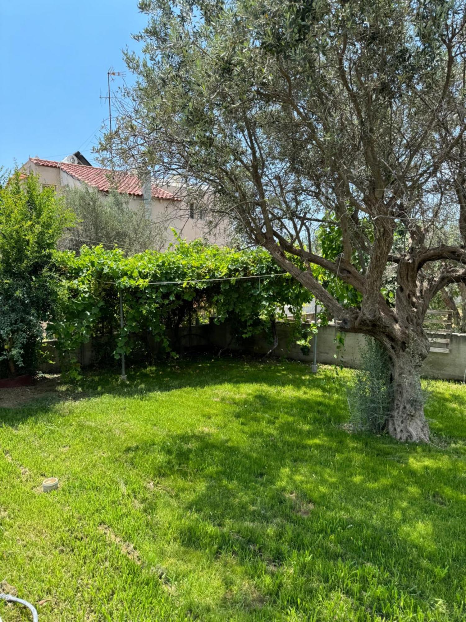 Fotis House 2 Διαμέρισμα Αφάντου Εξωτερικό φωτογραφία